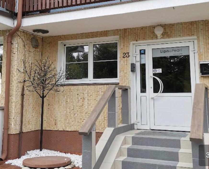 Lipno Pearl 4 Apartment Lipno nad Vltavou Luaran gambar